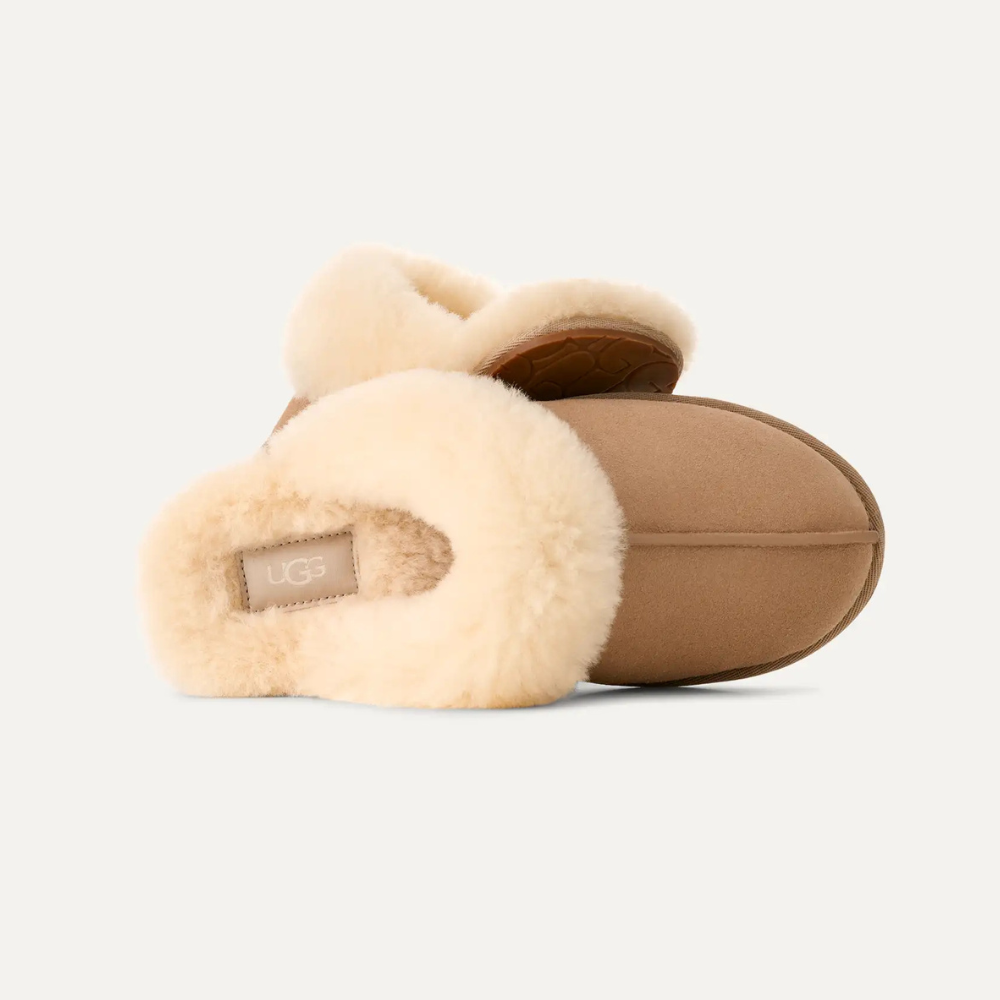 Scuffette II